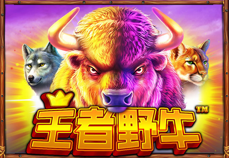 Check out SBOBET’s newest slot game, the Buffalo King, which offers extravagant prizes at home