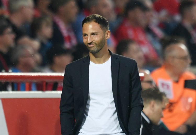 Euro 2024: Domenico Tedesco was appointed as new Belgium coach in February 8, 2023
