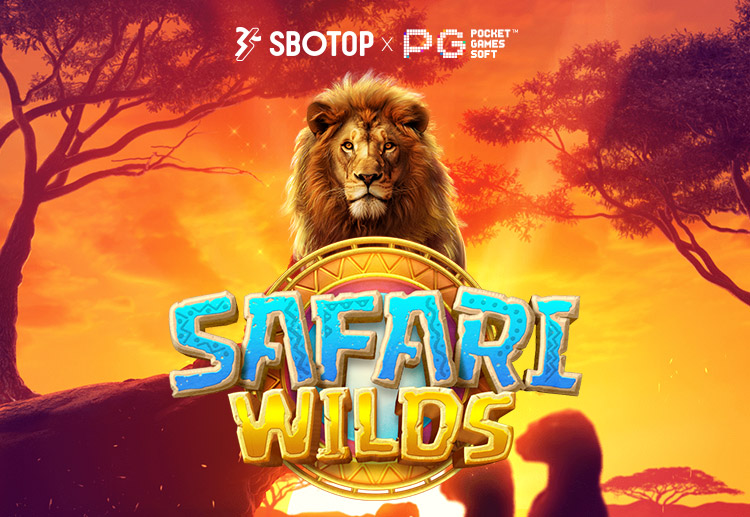 Safari Wilds is a 6-reel game where you can assume the role of Jack