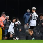 Taruhan Premier League: Newcastle United vs Fulham