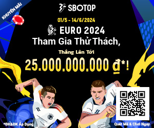 EURO 2024 Prediction Challenge – VN